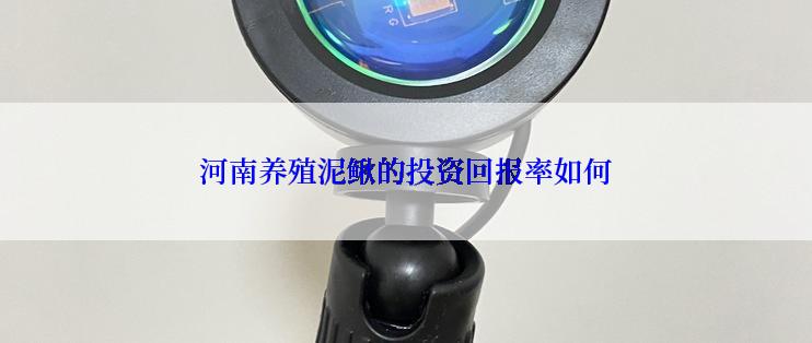 河南养殖泥鳅的投资回报率如何