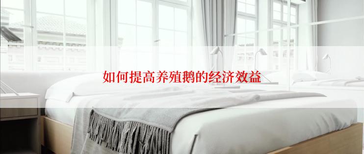 如何提高养殖鹅的经济效益