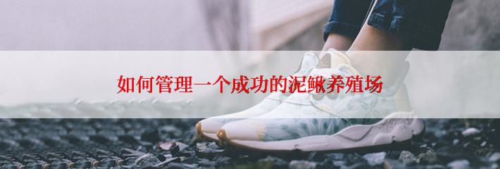 如何管理一个成功的泥鳅养殖场