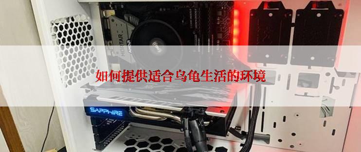 如何提供适合乌龟生活的环境