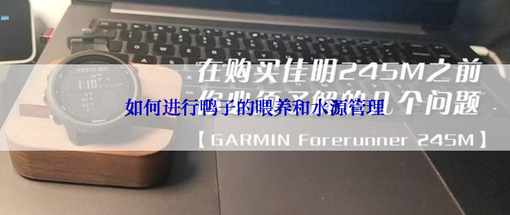 如何进行鸭子的喂养和水源管理