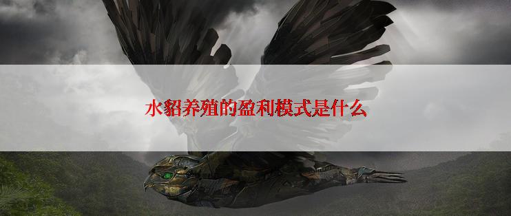 水貂养殖的盈利模式是什么