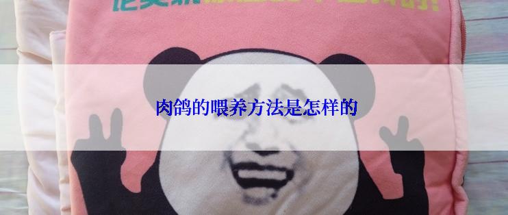  肉鸽的喂养方法是怎样的