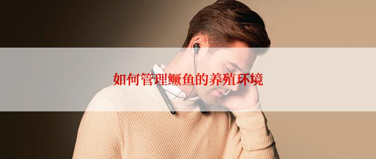 如何管理鳜鱼的养殖环境