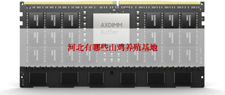 河北有哪些山鸡养殖基地