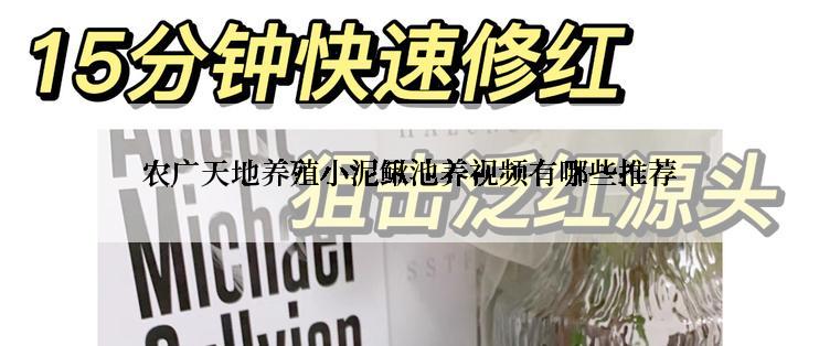 农广天地养殖小泥鳅池养视频有哪些推荐