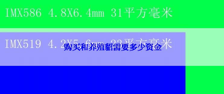  购买和养殖貂需要多少资金