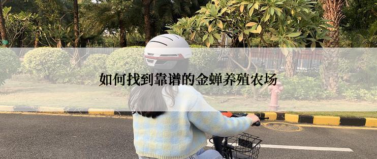 如何找到靠谱的金蝉养殖农场