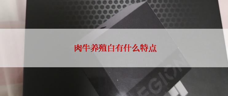  肉牛养殖白有什么特点