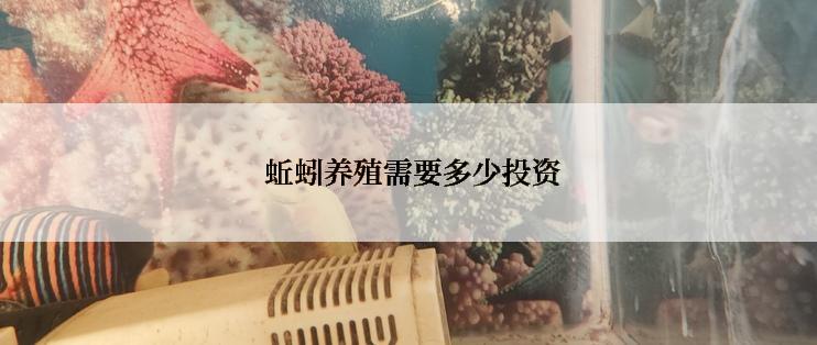  蚯蚓养殖需要多少投资