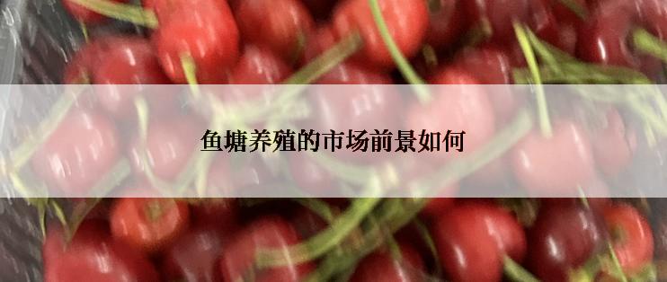 鱼塘养殖的市场前景如何