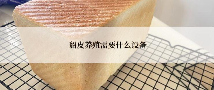  貂皮养殖需要什么设备