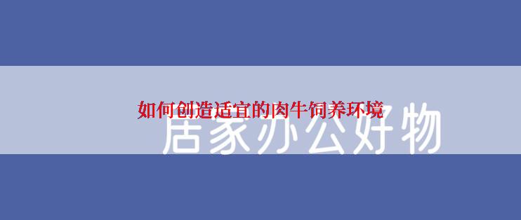 如何创造适宜的肉牛饲养环境