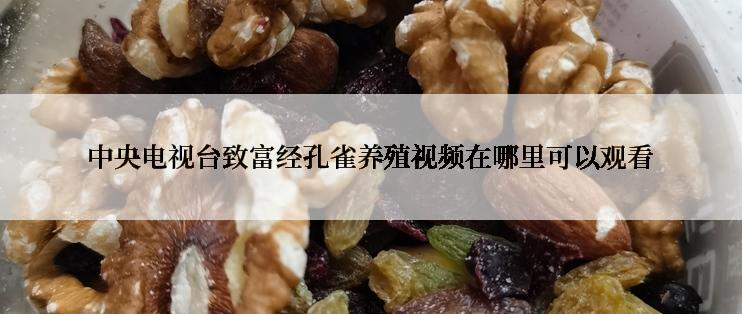 中央电视台致富经孔雀养殖视频在哪里可以观看