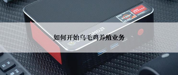 如何开始乌毛鸡养殖业务