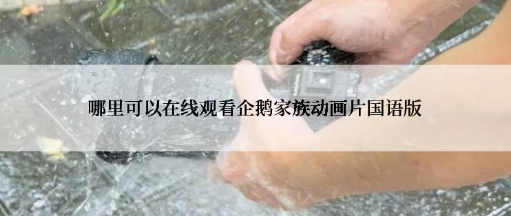 哪里可以在线观看企鹅家族动画片国语版