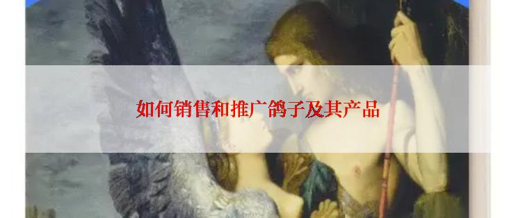 如何销售和推广鸽子及其产品