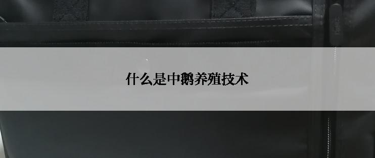 什么是中鹅养殖技术