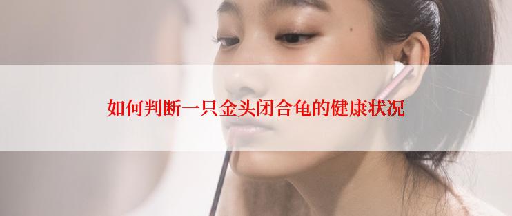 如何判断一只金头闭合龟的健康状况