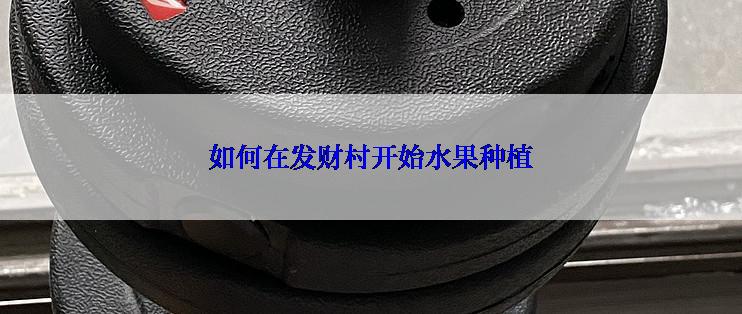 如何在发财村开始水果种植