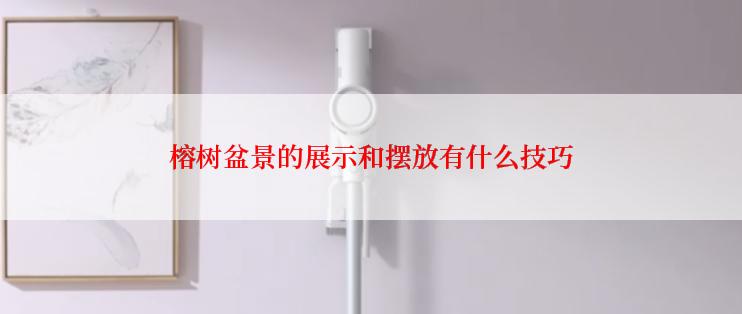 榕树盆景的展示和摆放有什么技巧