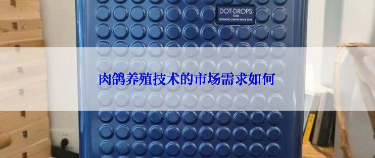 肉鸽养殖技术的市场需求如何