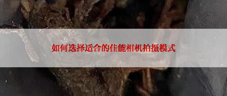 如何选择适合的佳能相机拍摄模式