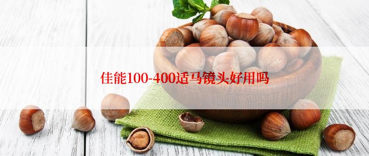 佳能100-400适马镜头好用吗