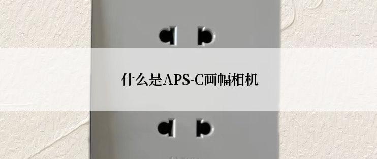  什么是APS-C画幅相机