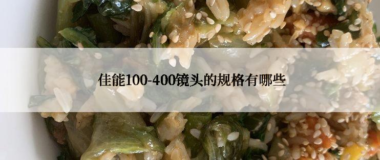  佳能100-400镜头的规格有哪些