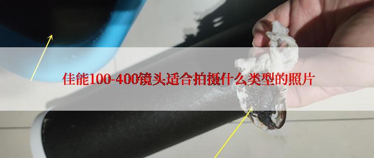  佳能100-400镜头适合拍摄什么类型的照片