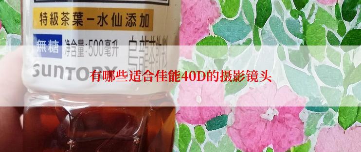 有哪些适合佳能40D的摄影镜头