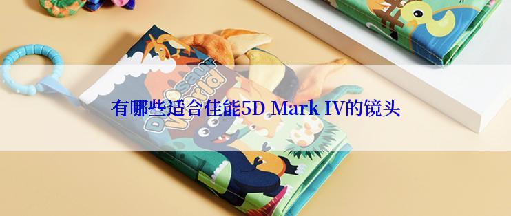 有哪些适合佳能5D Mark IV的镜头