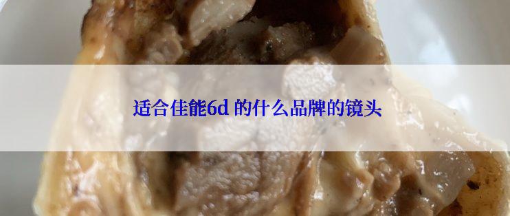  适合佳能6d 的什么品牌的镜头