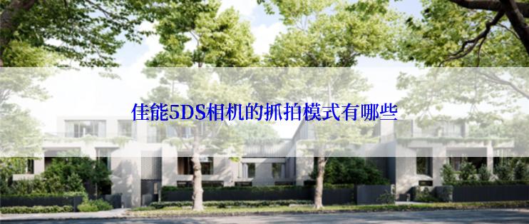 佳能5DS相机的抓拍模式有哪些