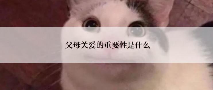  父母关爱的重要性是什么