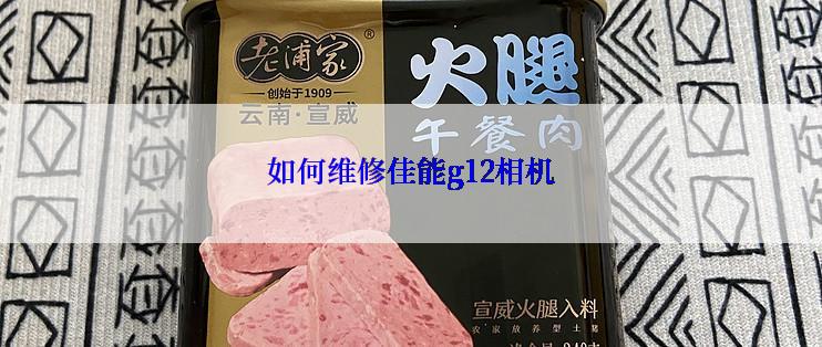 如何维修佳能g12相机