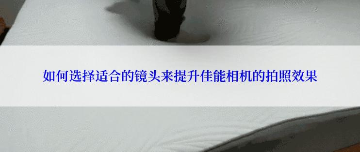 如何选择适合的镜头来提升佳能相机的拍照效果