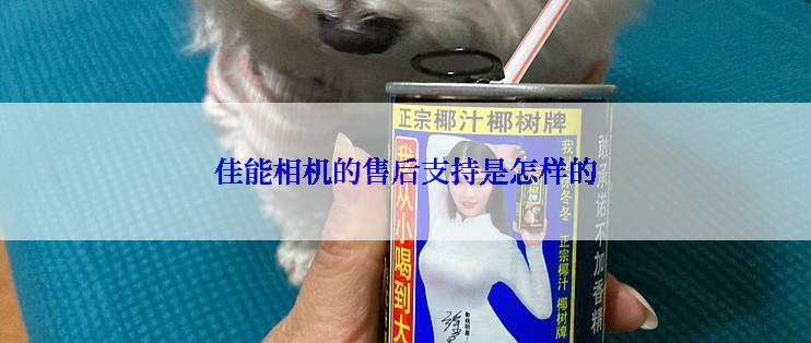 佳能相机的售后支持是怎样的