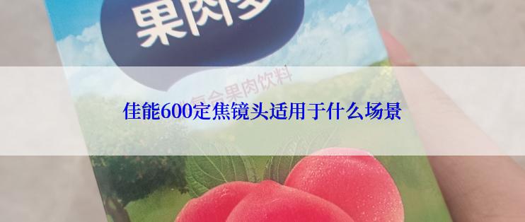 佳能600定焦镜头适用于什么场景