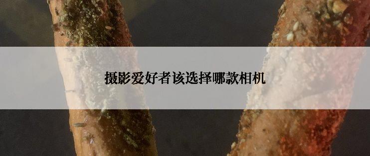 摄影爱好者该选择哪款相机