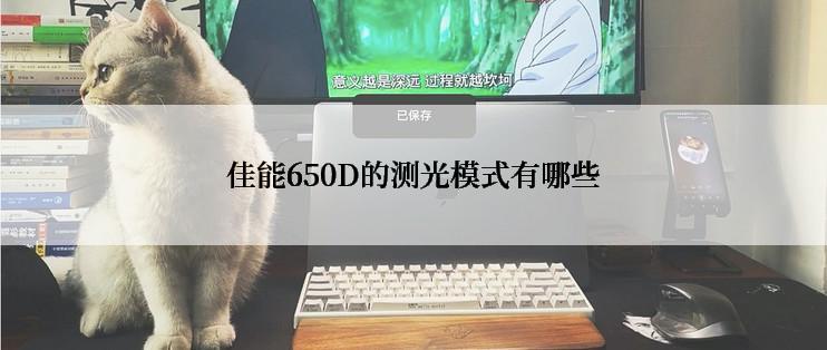 佳能650D的测光模式有哪些