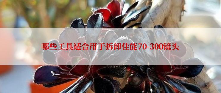 哪些工具适合用于拆卸佳能70-300镜头