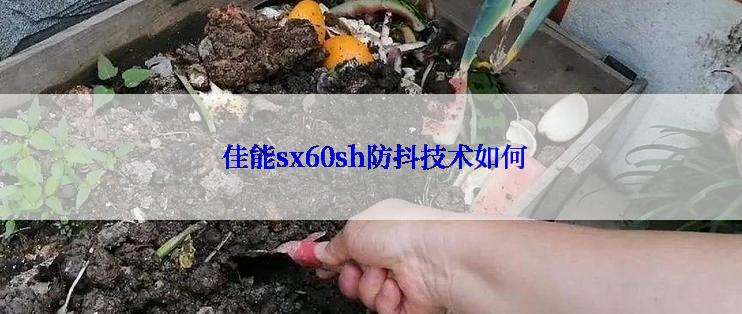  佳能sx60sh防抖技术如何