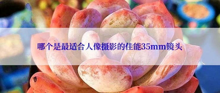 哪个是最适合人像摄影的佳能35mm镜头