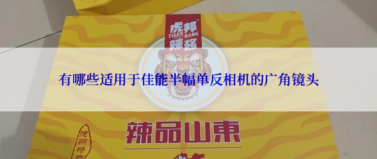 有哪些适用于佳能半幅单反相机的广角镜头