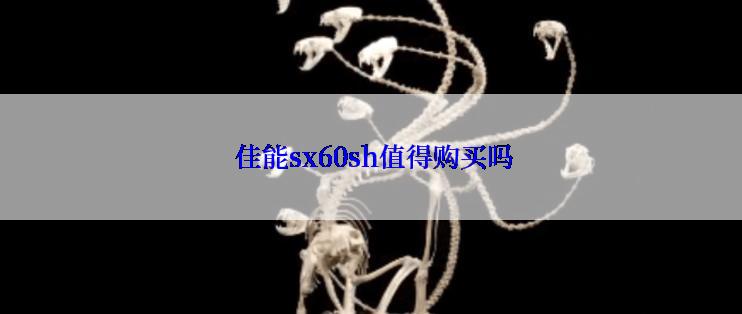  佳能sx60sh值得购买吗