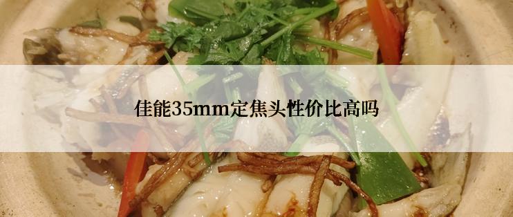 佳能35mm定焦头性价比高吗