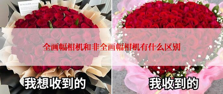 全画幅相机和非全画幅相机有什么区别