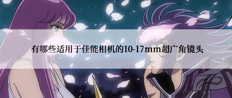  有哪些适用于佳能相机的10-17mm超广角镜头